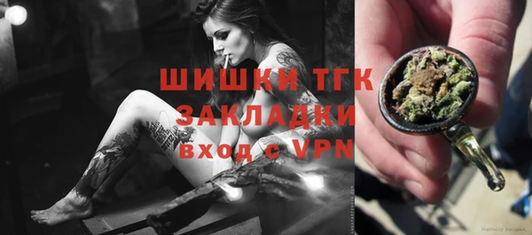 шишки Балахна