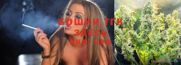шишки Балахна