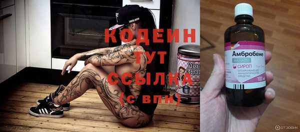 шишки Балахна