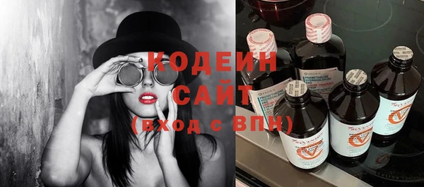 шишки Балахна
